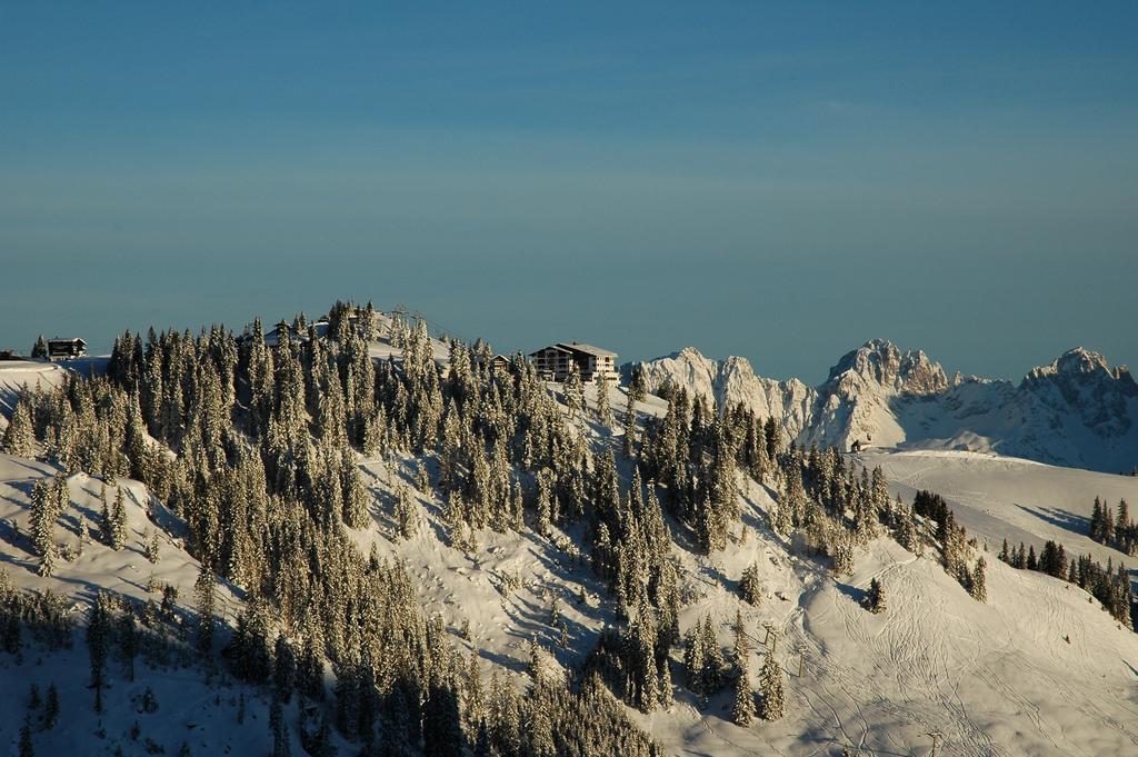 Ehrenbachhoehe On Top Of The Mountain Kitzbuhel Exterior photo